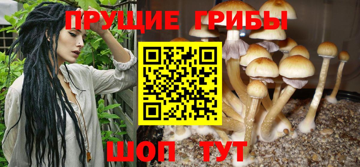 ГАШ  Вход с VPN  Бошки Шишки  Героин  А ПВП СОЛЬ кристаллы  Меф кристаллы  Киров  COCAIN 