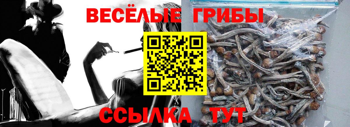 Киров  Галлюциногенные грибы прущие грибы  Псилоцибиновые грибы Psilocybine cubensis  Вход с VPN 